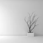 Uses of White Cement