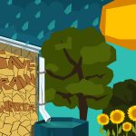 Rainwater Harvesting Techniques