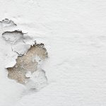 Dampness: Causes, Effects & Preventive Measures