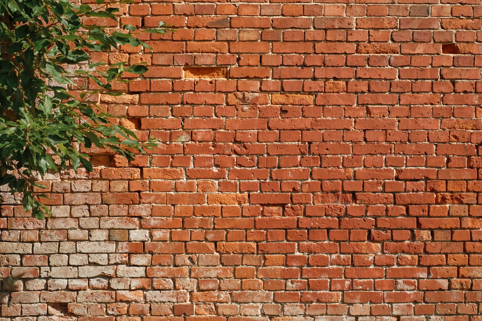 Pointing in Construction Types, Process, Advantages JK Cement