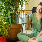 Vastu Tips for Good Health at Home