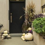 Entrance Vastu: What Your Main Gate Says About Your Home